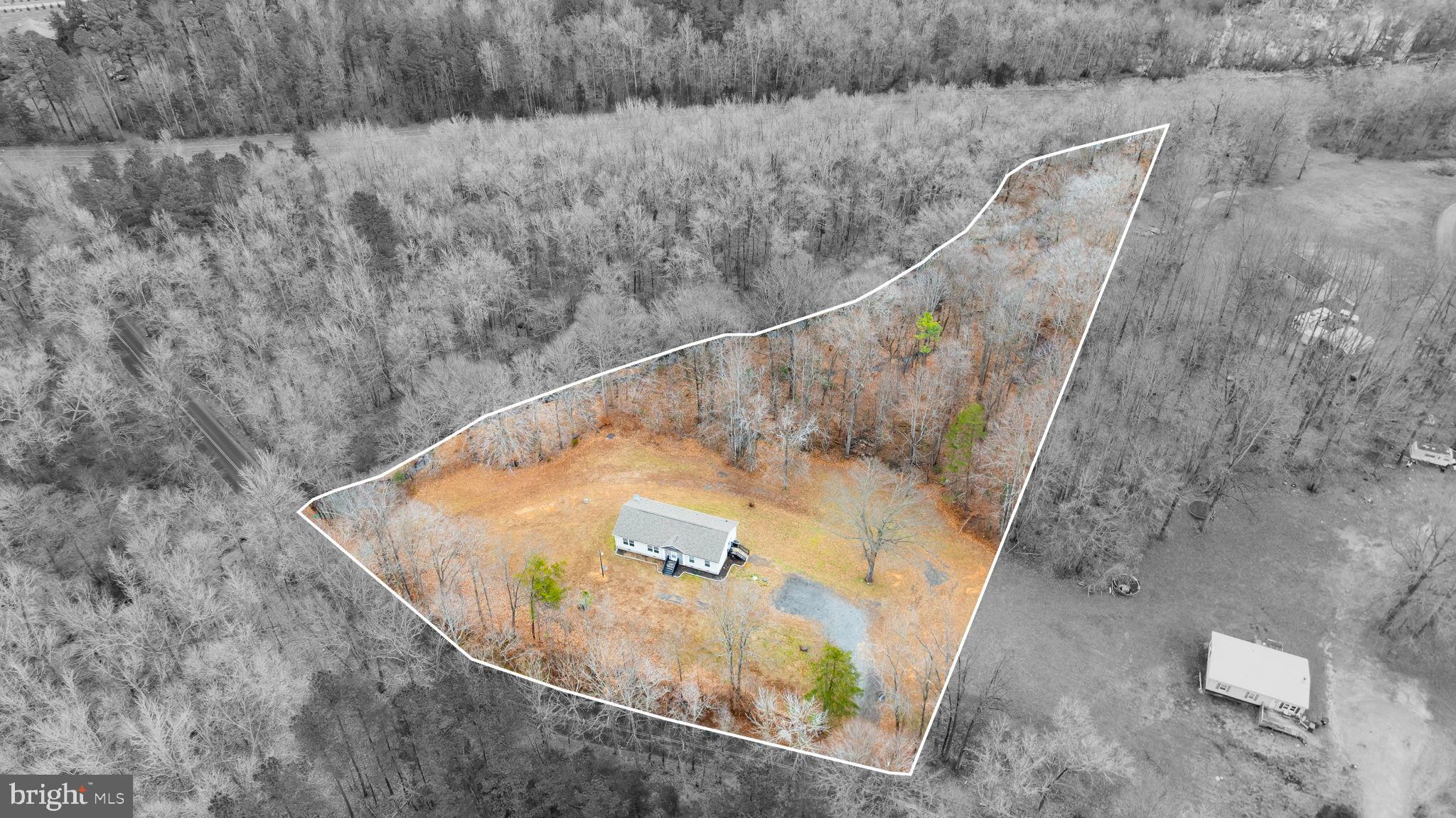 13115 Arcadia Road Woodford, VA 22580 - Photo 6 of 44 2.95 acres of private woodlands.