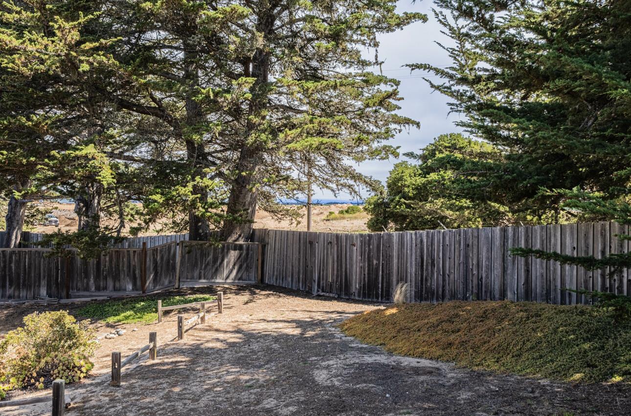 337 Quebrada Del Mar Road Marina, CA 93933 - Photo 22 of 44 a backyard of a house with table and chairs