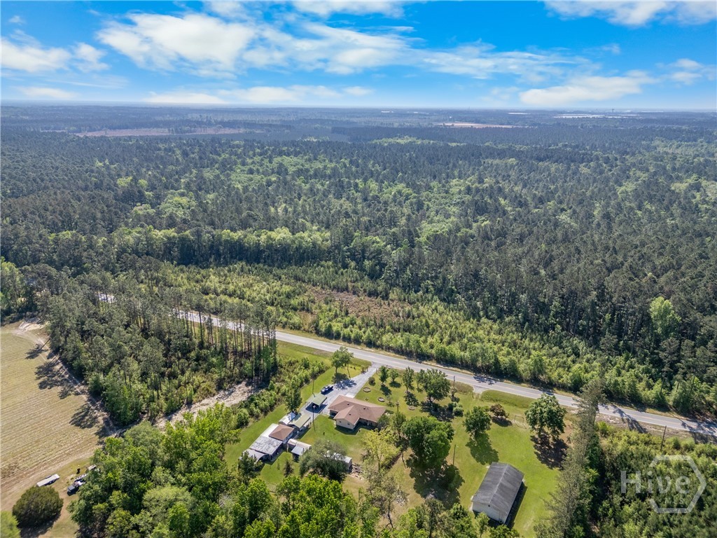 673 Highway 119 Ellabell, GA 31308 - Photo 12 of 47