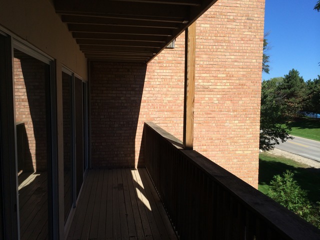 5854 Forest View Road, Unit C Lisle, IL 60532 - Photo 13 of 23