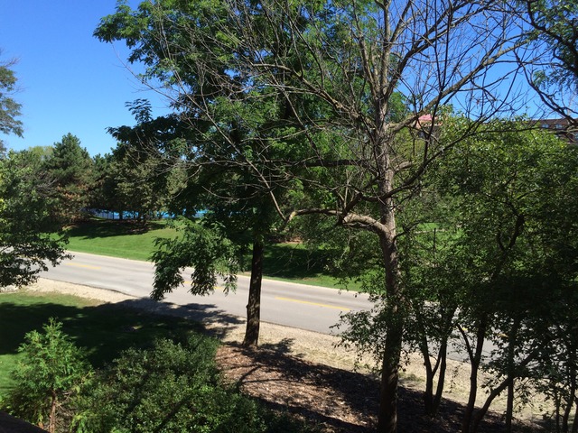 5854 Forest View Road, Unit C Lisle, IL 60532 - Photo 15 of 23