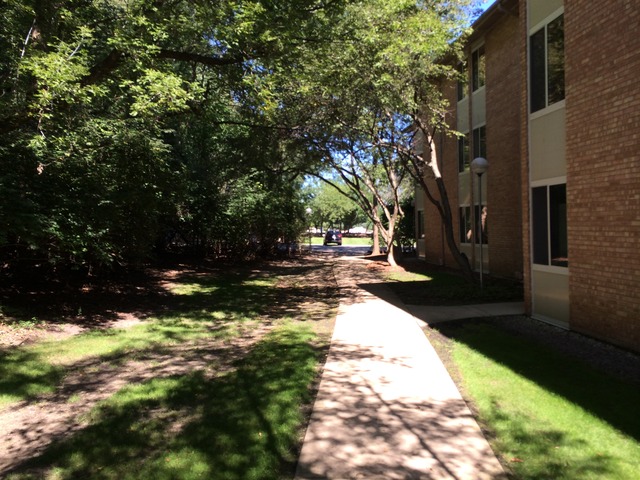 5854 Forest View Road, Unit C Lisle, IL 60532 - Photo 16 of 23