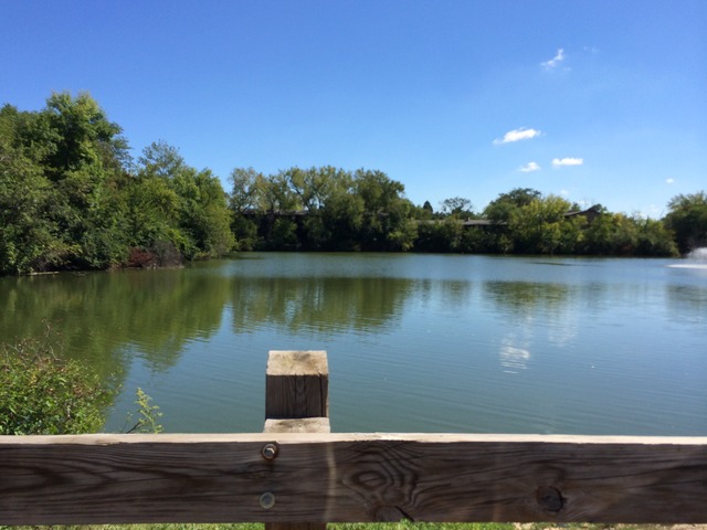 5854 Forest View Road, Unit C Lisle, IL 60532 - Photo 18 of 23