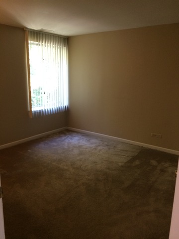 5854 Forest View Road, Unit C Lisle, IL 60532 - Photo 5 of 23