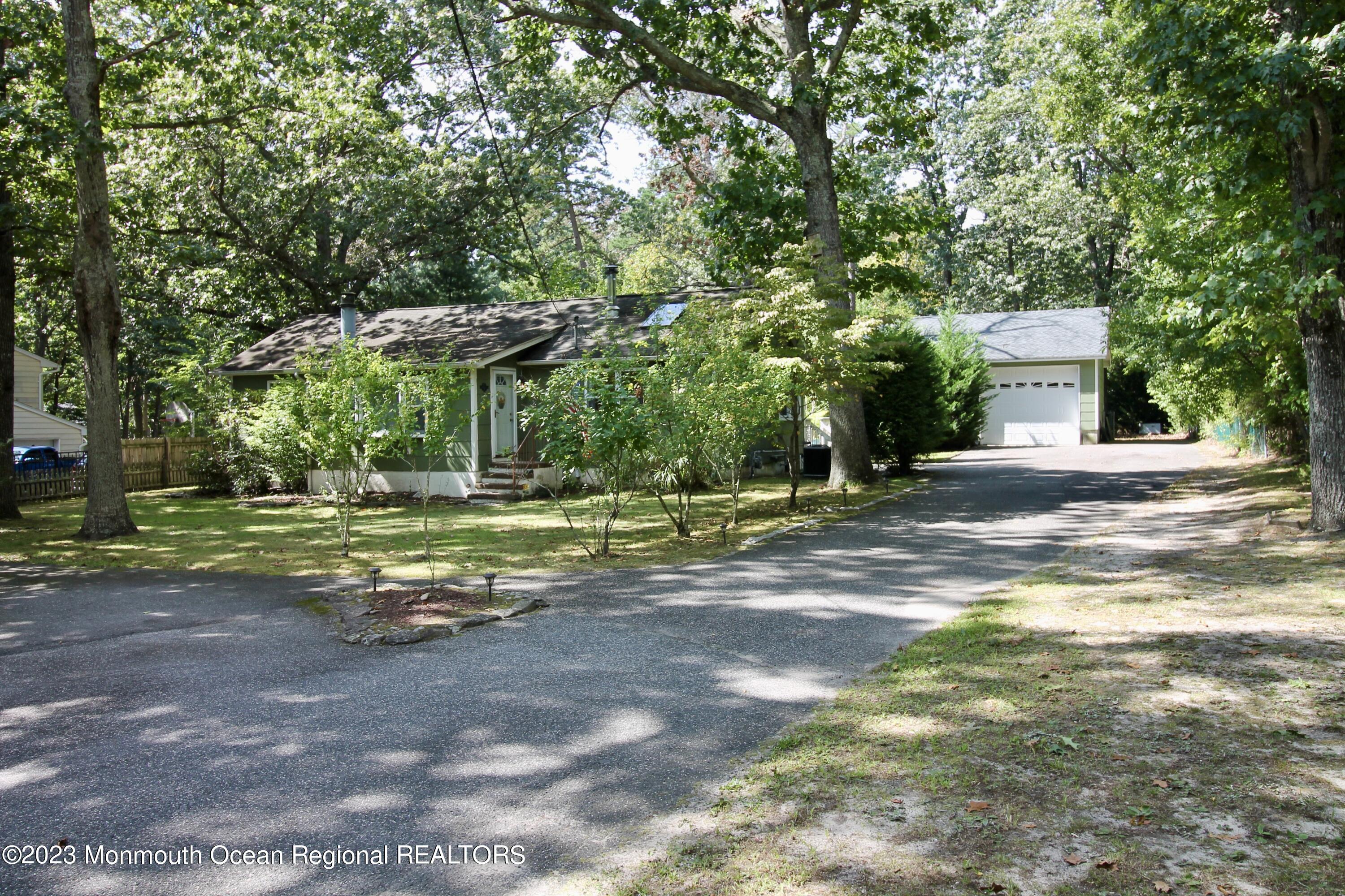 a view of a yard with plants and trees