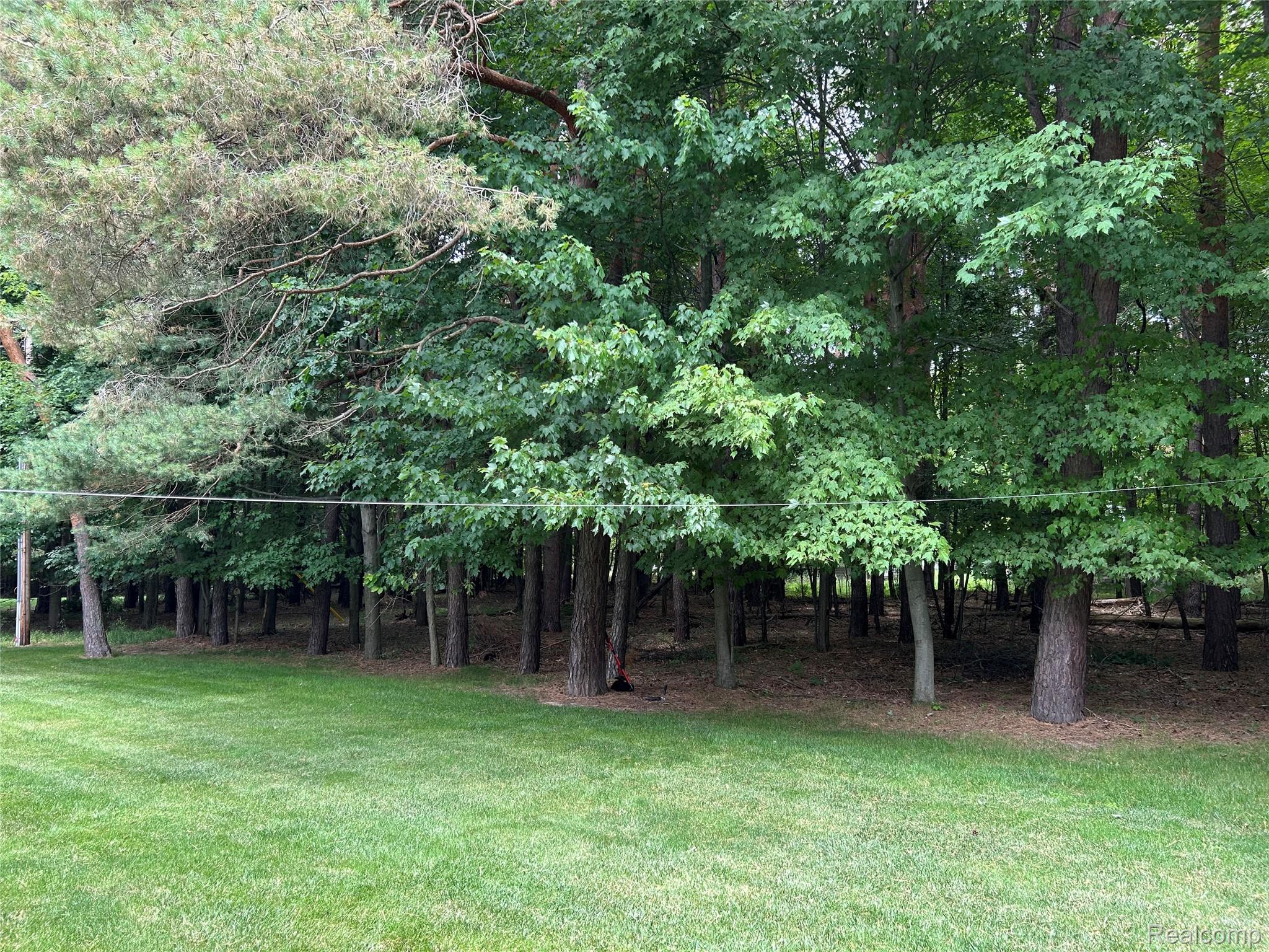 1334 Weeden Road Caro, MI 48723 - Photo 6 of 30 IMG_1595.jpeg