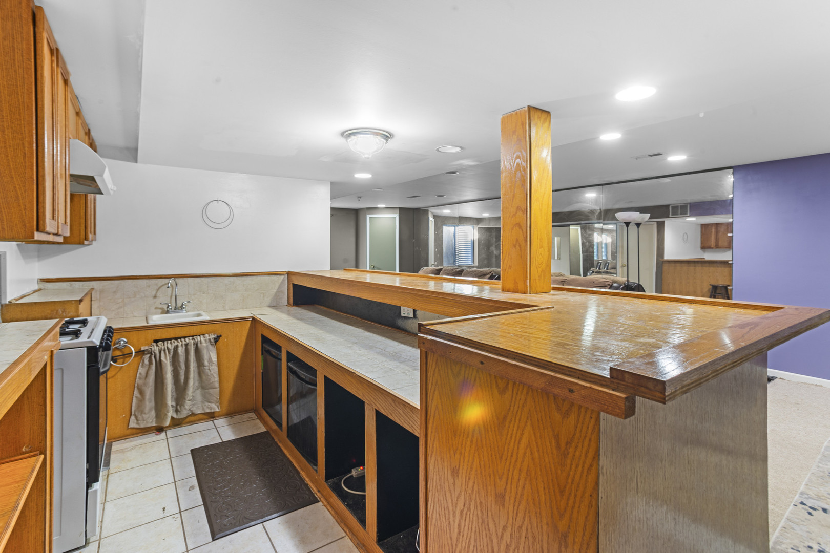 1743 Newbridge Circle Elgin, IL 60123 - Photo 12 of 21