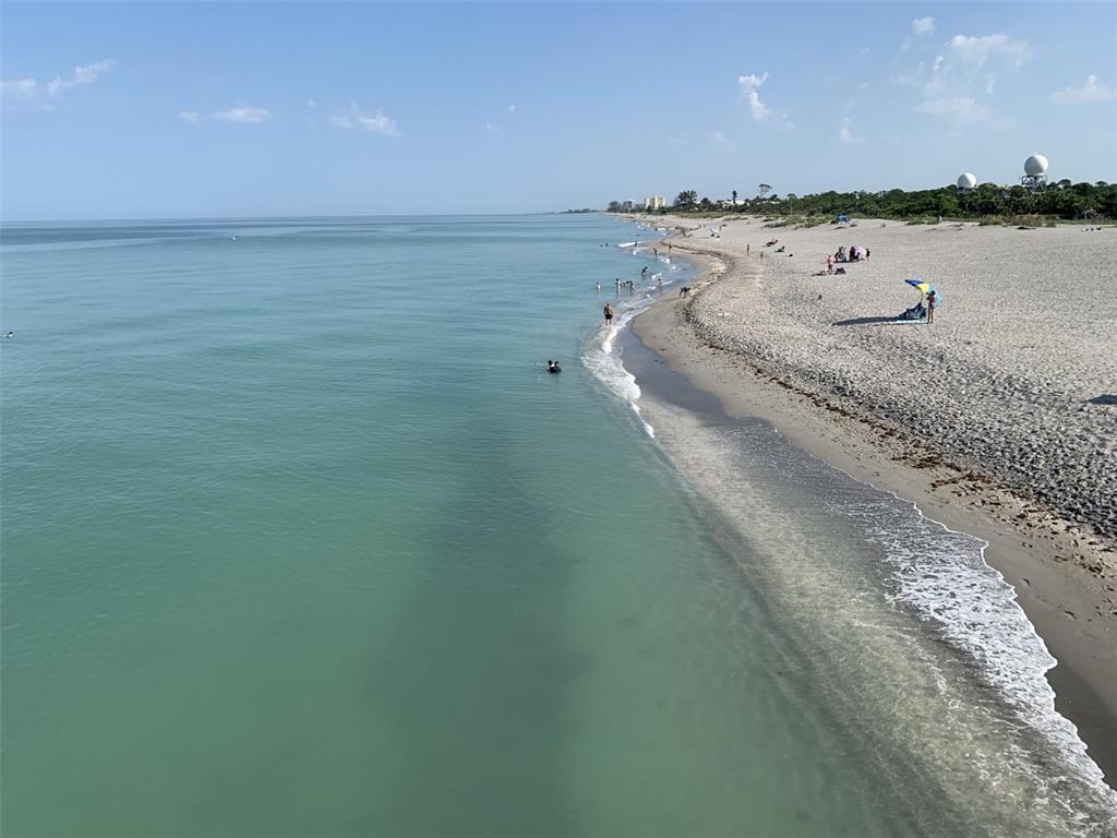 1226 Pine Needle Road Venice, FL 34285 - Photo 53 of 58