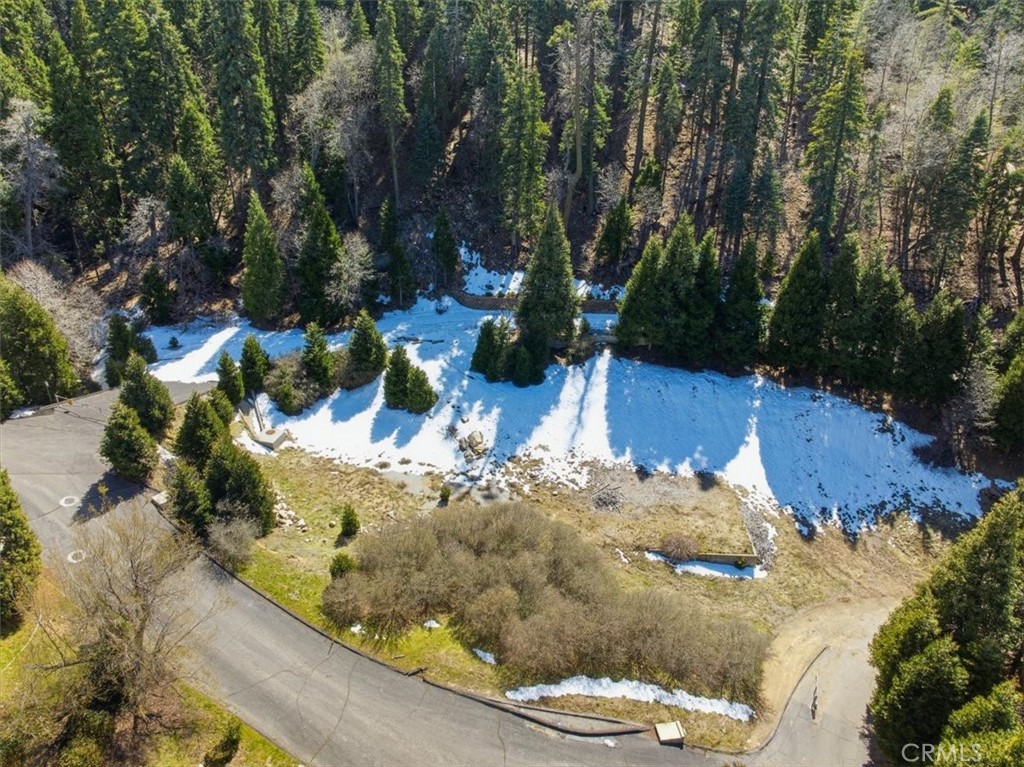 28432 Fresh Spring Lane Lake Arrowhead, CA 92352 - Photo 11 of 15 Arrowhead Canyon Buildable Lots