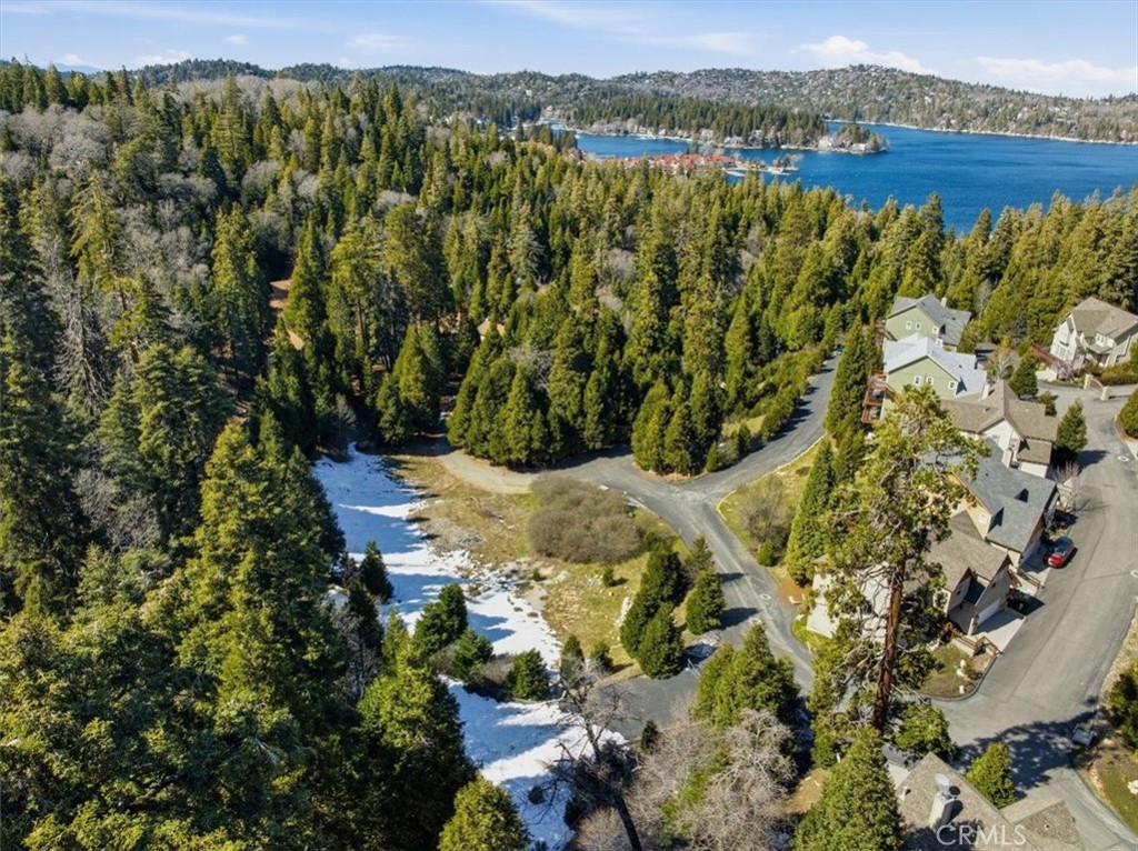 28432 Fresh Spring Lane Lake Arrowhead, CA 92352 - Photo 7 of 15 Arrowhead Canyon Buildable Lots