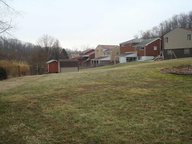 4831 Doyle Road Whitehall, PA 15227 - Photo 22 of 25 Yard/Garden.