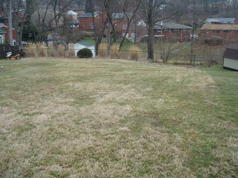 4831 Doyle Road Whitehall, PA 15227 - Photo 23 of 25 Yard/Garden.