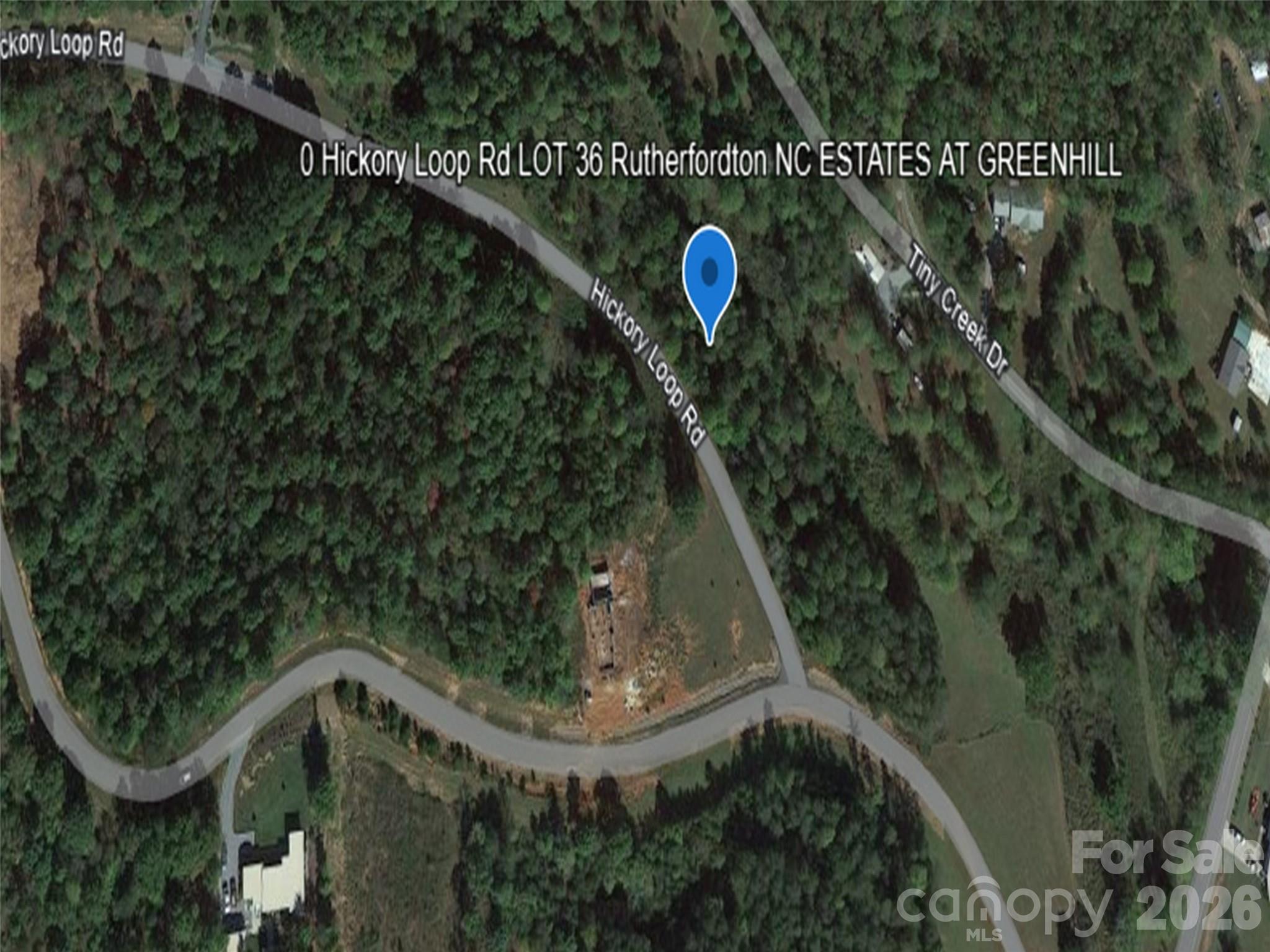 0 Hickory Loop Road, Unit LOT 36 Tryon, NC 28782 - Photo 3 of 8
