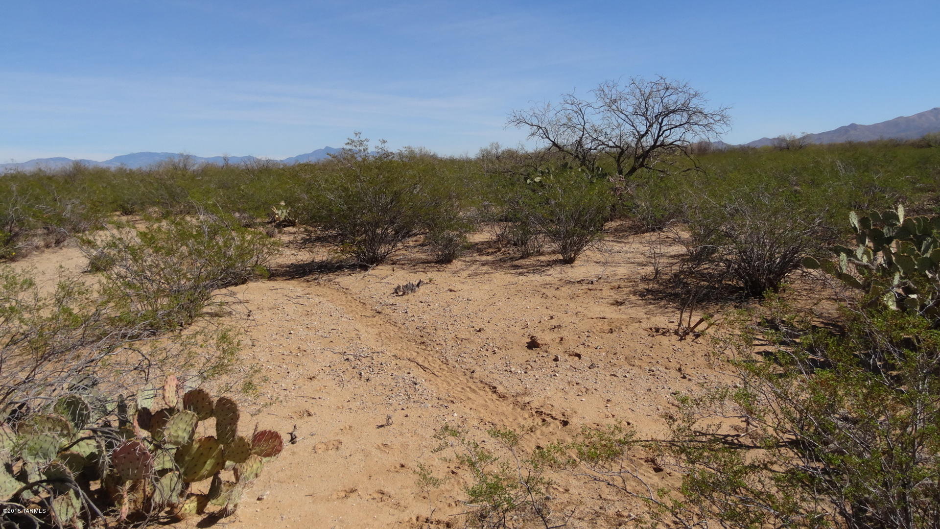 Tbd Dawson Road, Unit 67D Sahuarita, AZ 85629 - Photo 6 of 7