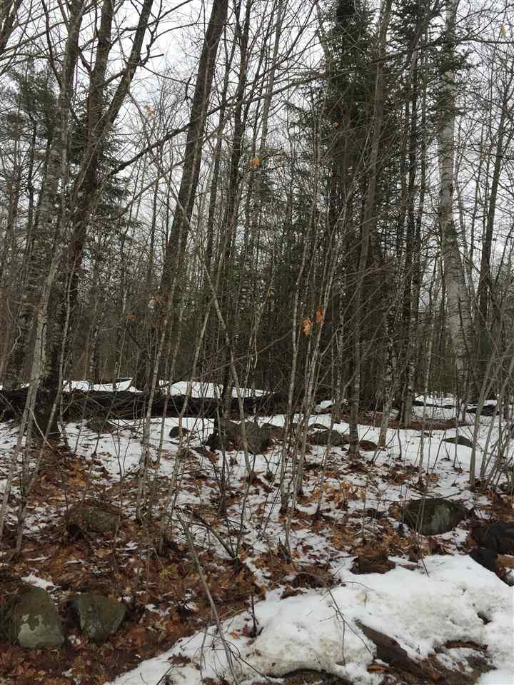 0 Ryder Road, Unit LOT 25 Campton, NH 03223 - Photo 6 of 6 Gallery Image 6