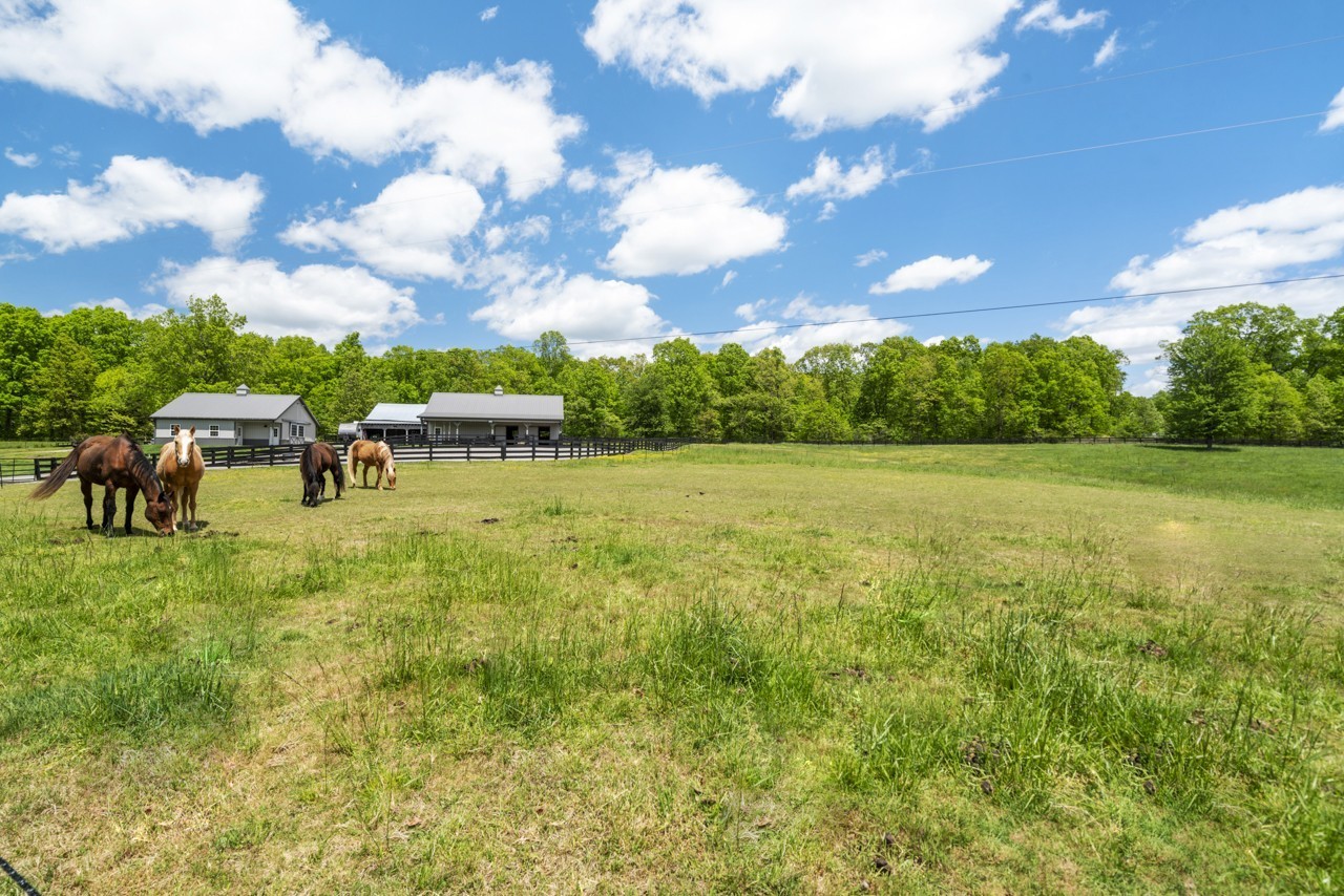 5807 Bending Chestnut Road Franklin, TN 37064 - Photo 54 of 70 a view of a garden with a house in the background