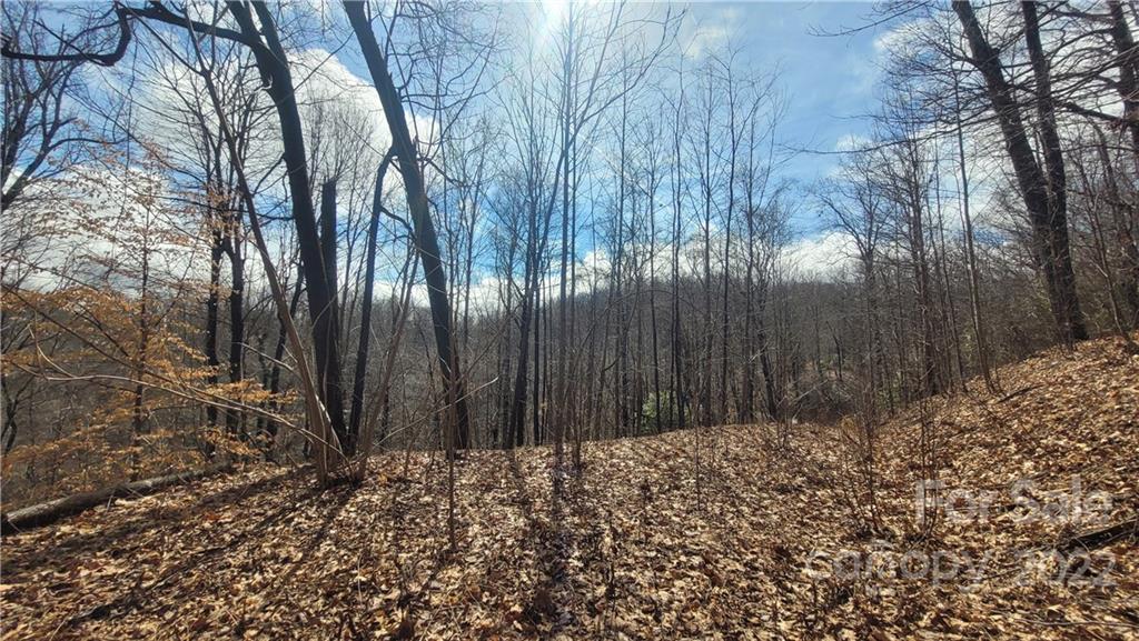 2 Lake Road, Unit 2C Old Fort, NC 28762 - Photo 5 of 11 a view of wooden fence
