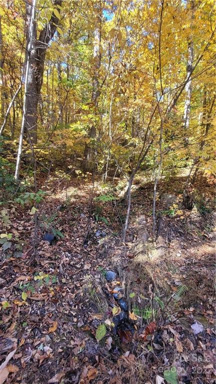 2 Lake Road, Unit 2C Old Fort, NC 28762 - Photo 6 of 11 a view of a yard with a tree