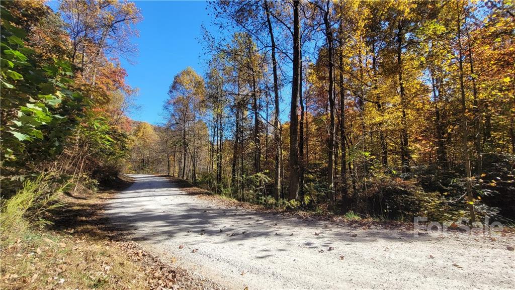2 Lake Road, Unit 2C Old Fort, NC 28762 - Photo 8 of 11 a view of a yard with trees