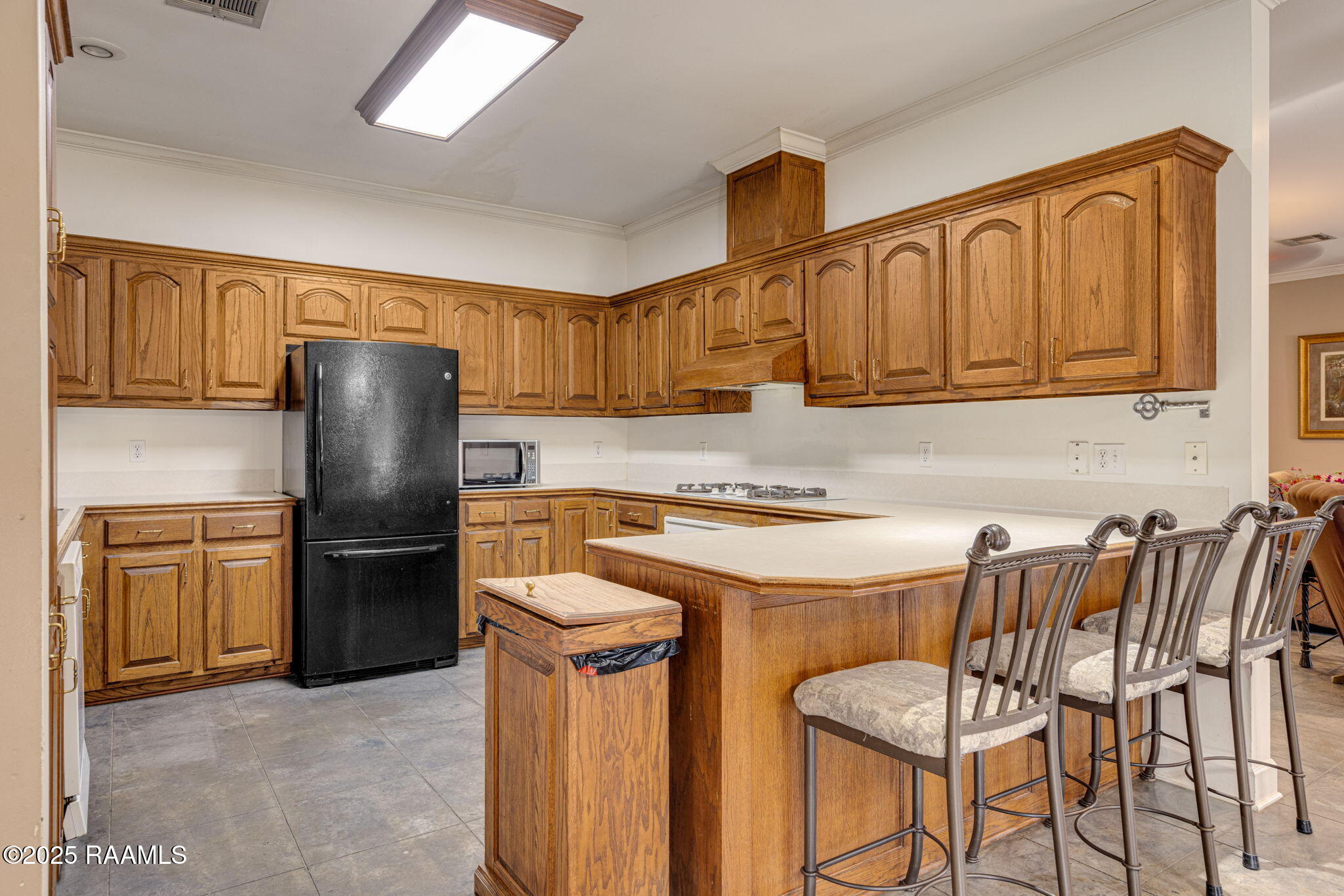 11612 Old Jeanerette Road, Unit LOT 1 Jeanerette, LA 70544 - Photo 5 of 17 12-web-or-mls-11612 Old Jeanerette Rd-12