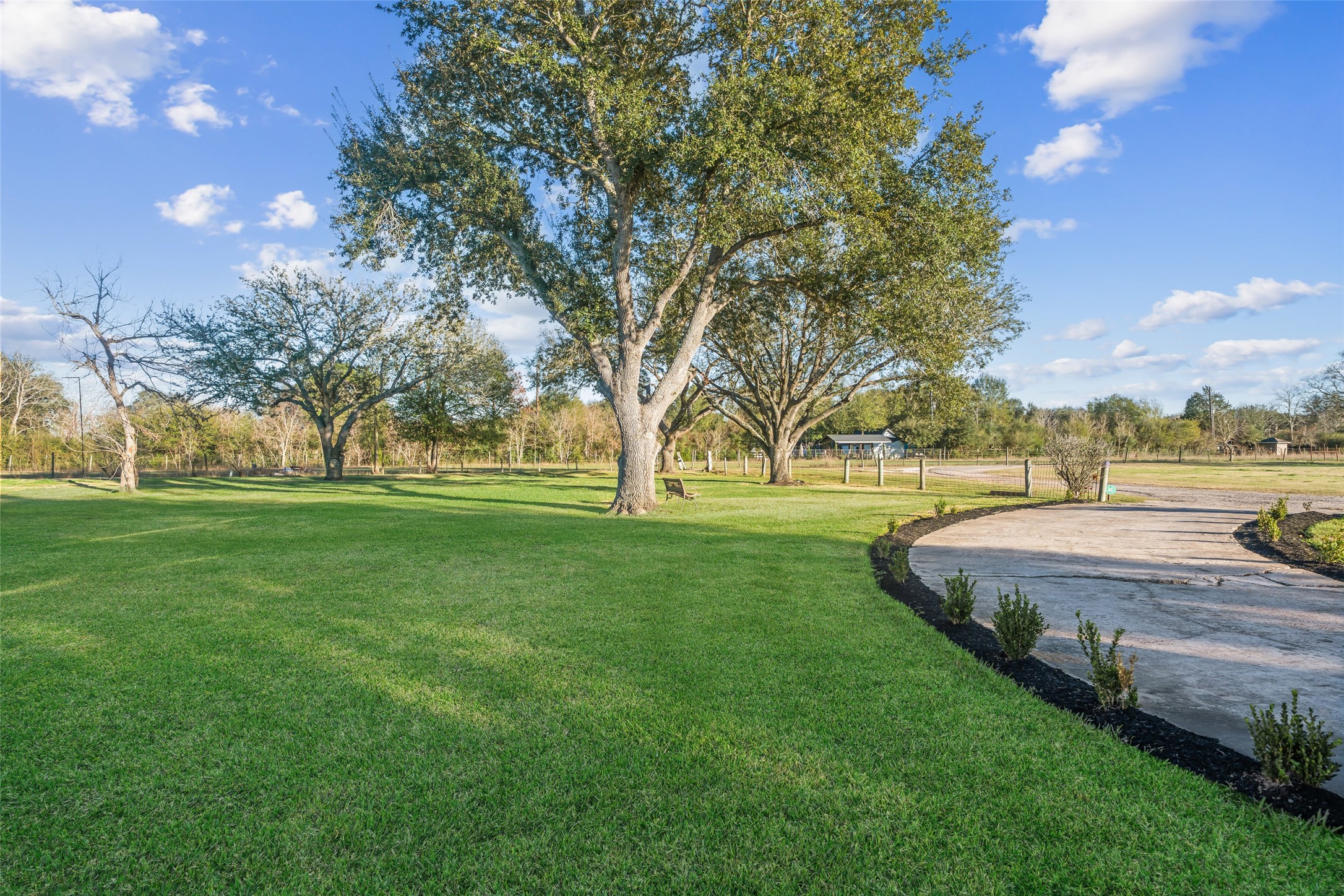 43910 Highway 290 Business Prairie View, TX 77484 - Photo 3 of 49 Park-like front yard with mature trees, manicured lawn, and circular drive approach.