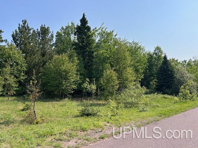13408 West Jackola ( Road Atlantic Mine, MI 49905 - Photo 21 of 21