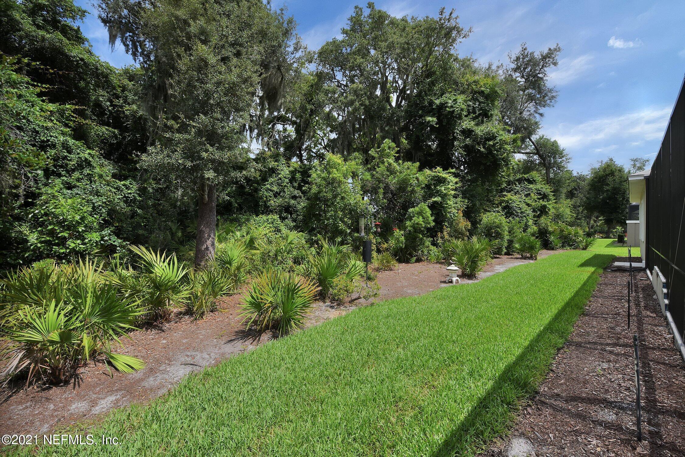 496 Costa Del Sol Drive St. Augustine, FL 32095 - Photo 99 of 111 a view of a yard with plants and a large tree