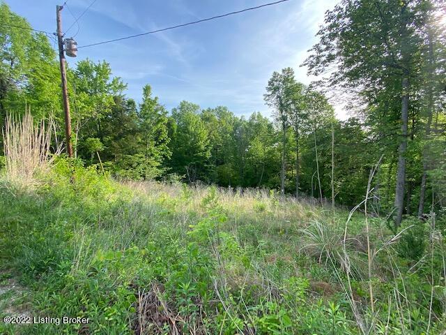 0 Lookout Point Road Clarkson, KY 42726 - Photo 4 of 9 lots 4