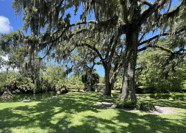 a view of a back yard