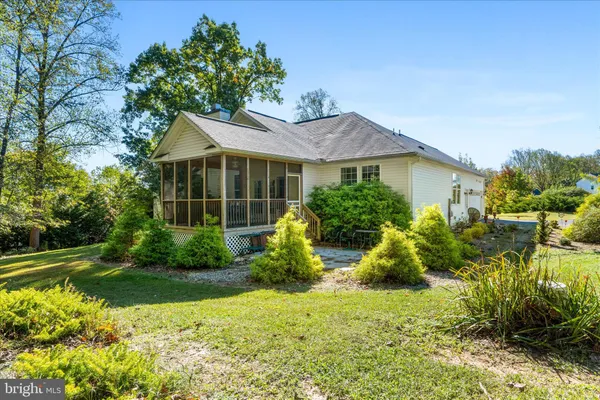 a view of a garden with plants and large trees