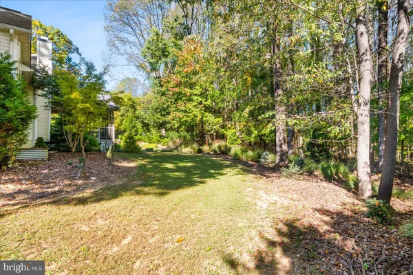 a view of yard with tree