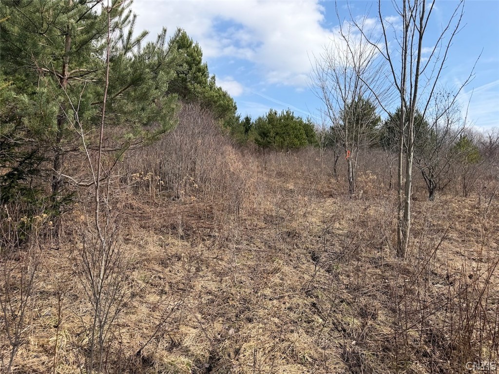 White Creek Road Friendship, NY 14739 - Photo 11 of 23