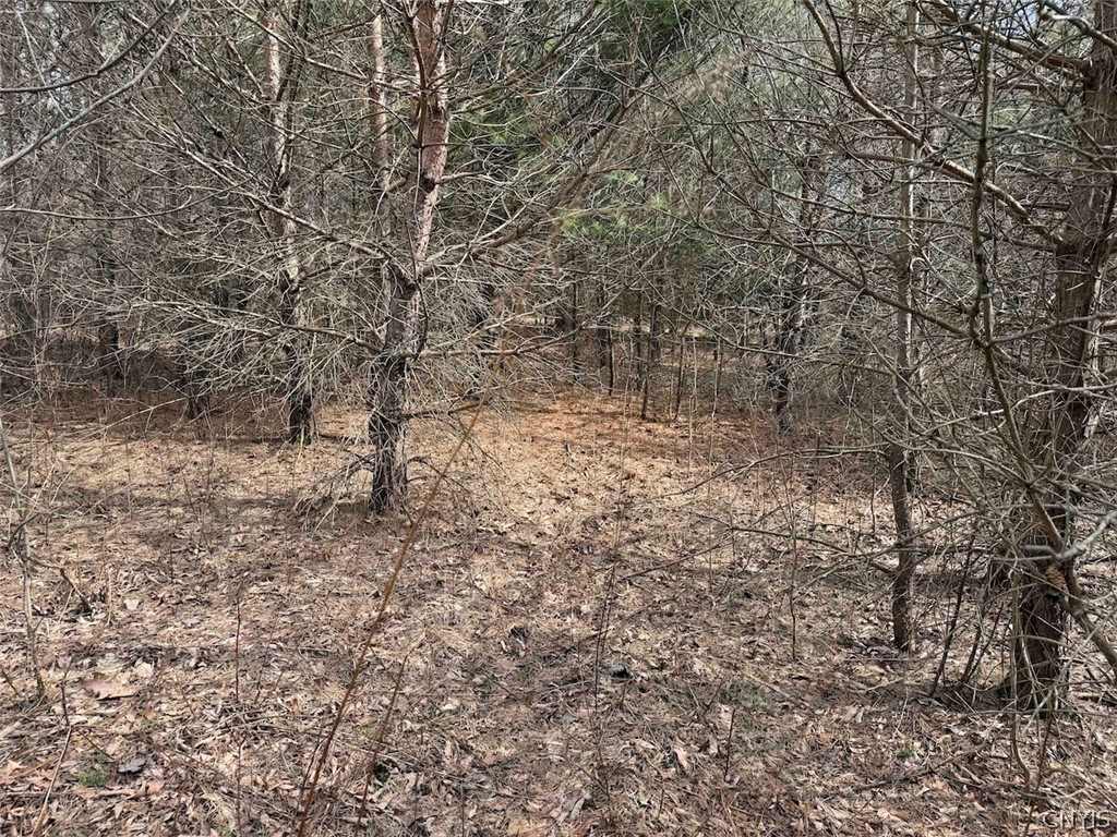 White Creek Road Friendship, NY 14739 - Photo 12 of 23