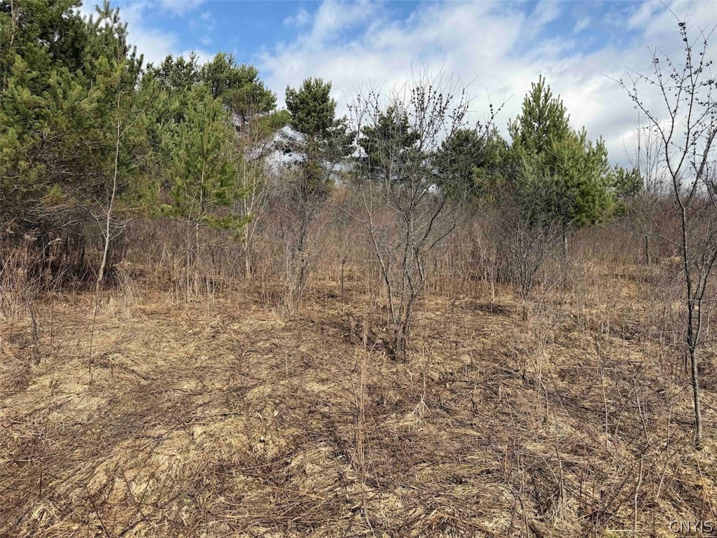 White Creek Road Friendship, NY 14739 - Photo 14 of 23