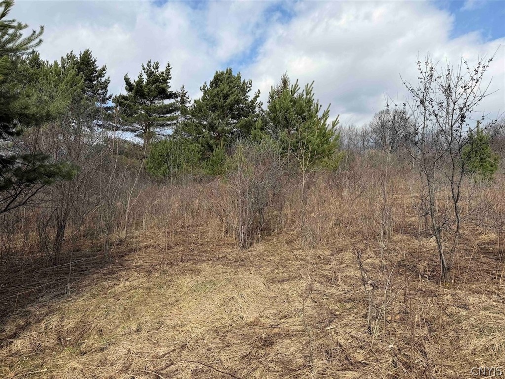 White Creek Road Friendship, NY 14739 - Photo 15 of 23