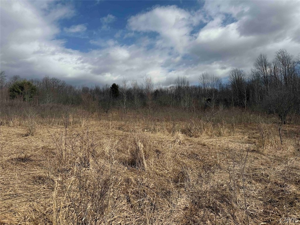 White Creek Road Friendship, NY 14739 - Photo 16 of 23