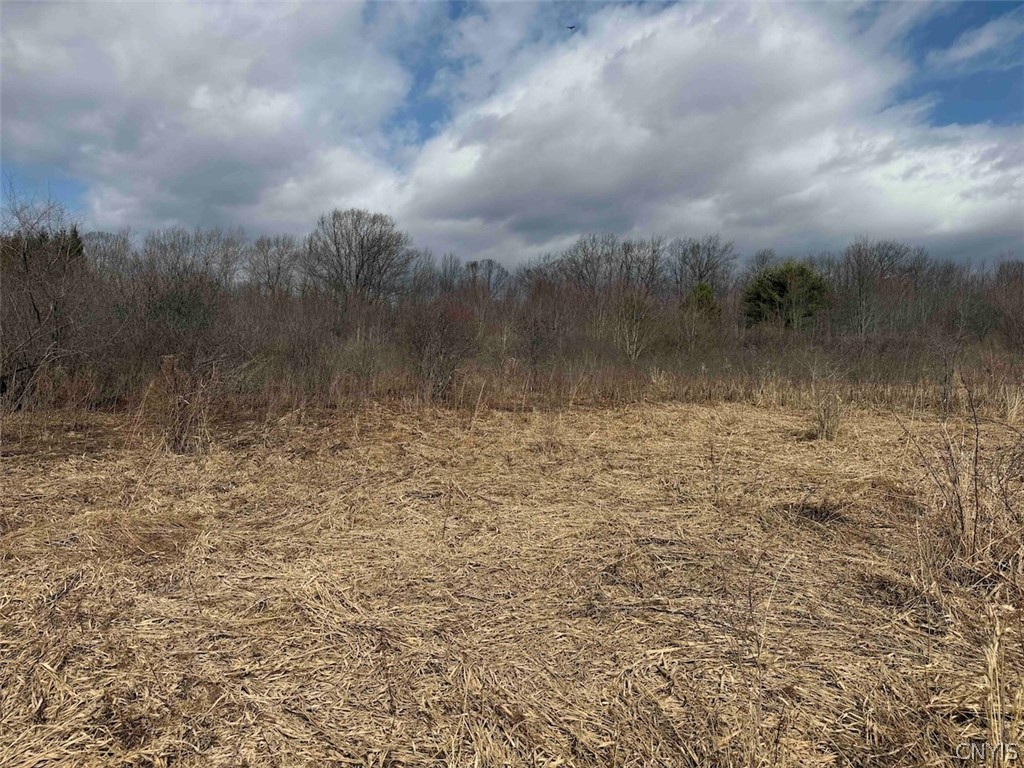 White Creek Road Friendship, NY 14739 - Photo 17 of 23