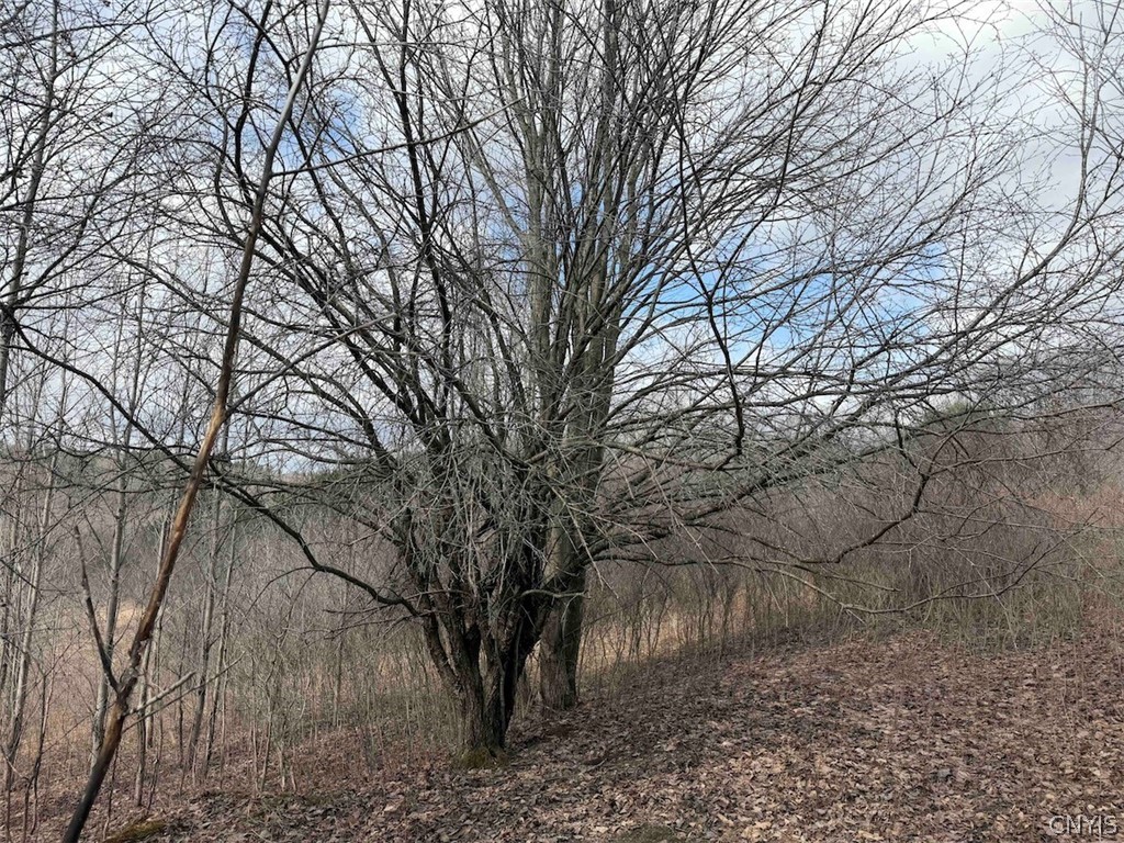 White Creek Road Friendship, NY 14739 - Photo 19 of 23