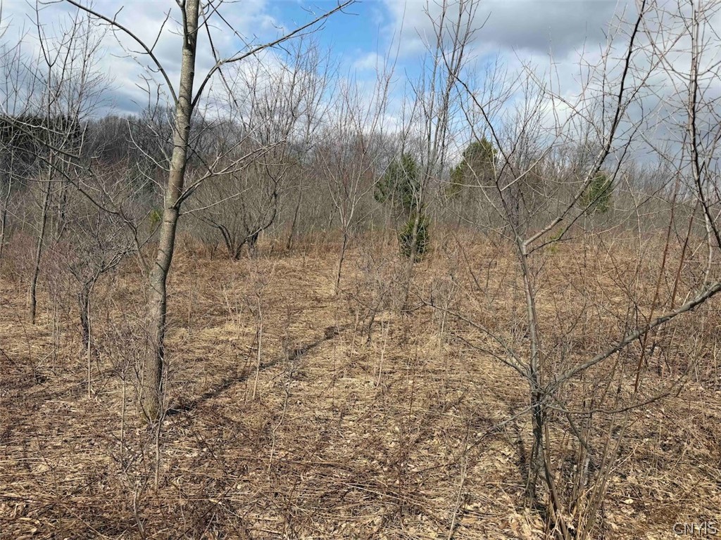 White Creek Road Friendship, NY 14739 - Photo 20 of 23