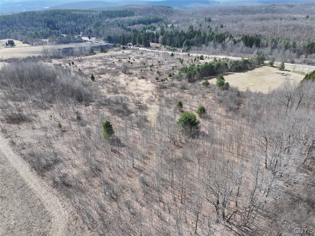 White Creek Road Friendship, NY 14739 - Photo 5 of 23