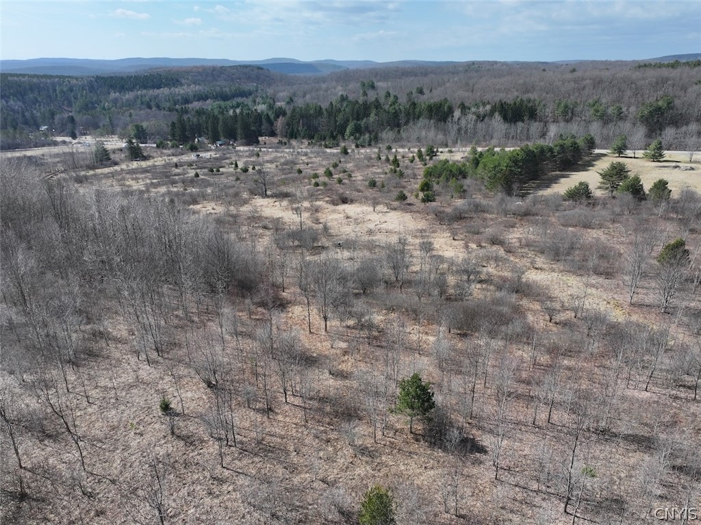 White Creek Road Friendship, NY 14739 - Photo 6 of 23
