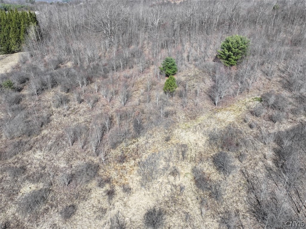 White Creek Road Friendship, NY 14739 - Photo 8 of 23