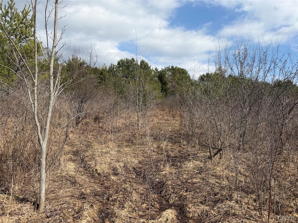 White Creek Road Friendship, NY 14739 - Photo 9 of 23