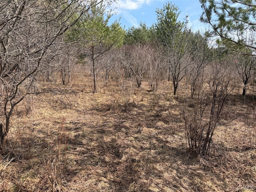 White Creek Road Friendship, NY 14739 - Photo 10 of 23