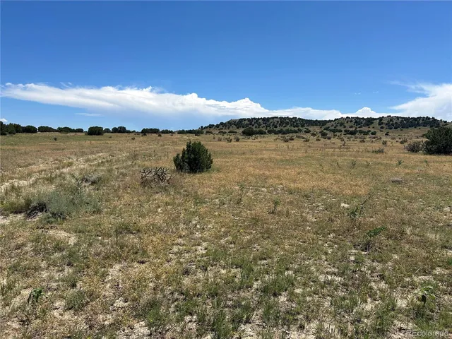 a view of door with shower