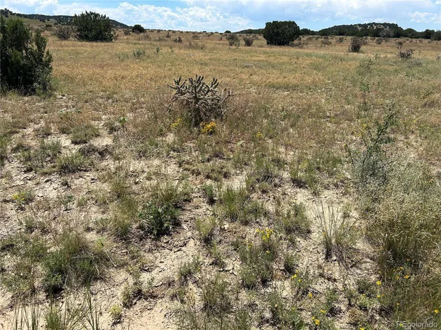 a view of a lake from a yard