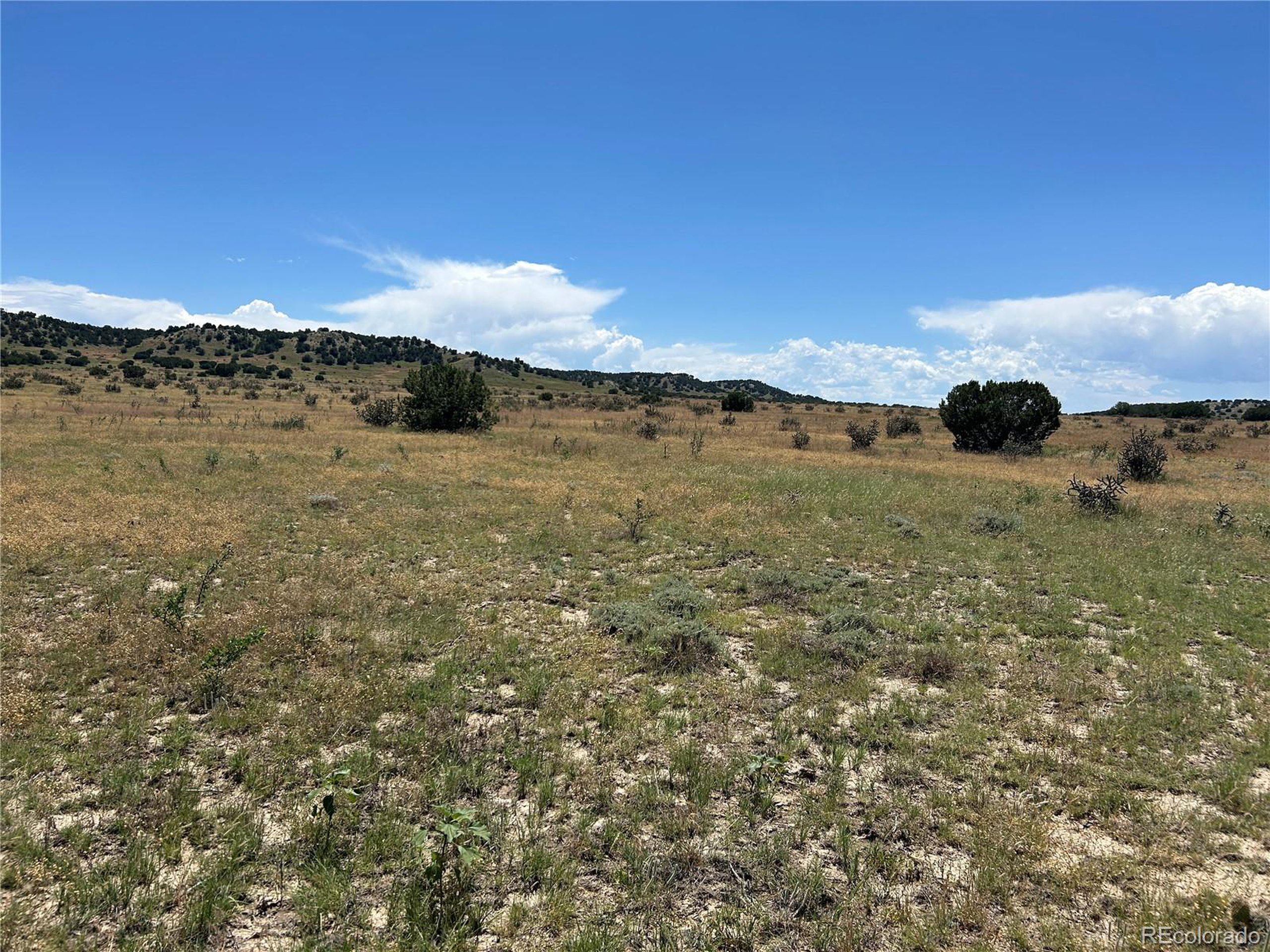 17 Longhorn Ranch Model, CO 81059 - Photo 10 of 13 a view of an lake and a mountain