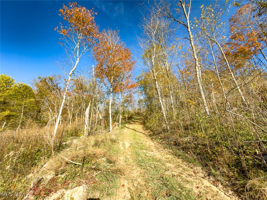 0 Flint Ridge Road Northeast Crooksville, OH 43731 - Photo 22 of 46 View of woods