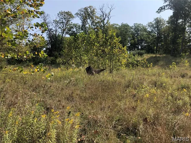 $24,300 | 6752 Walnut Valley Drive, High Ridge, MO 63049