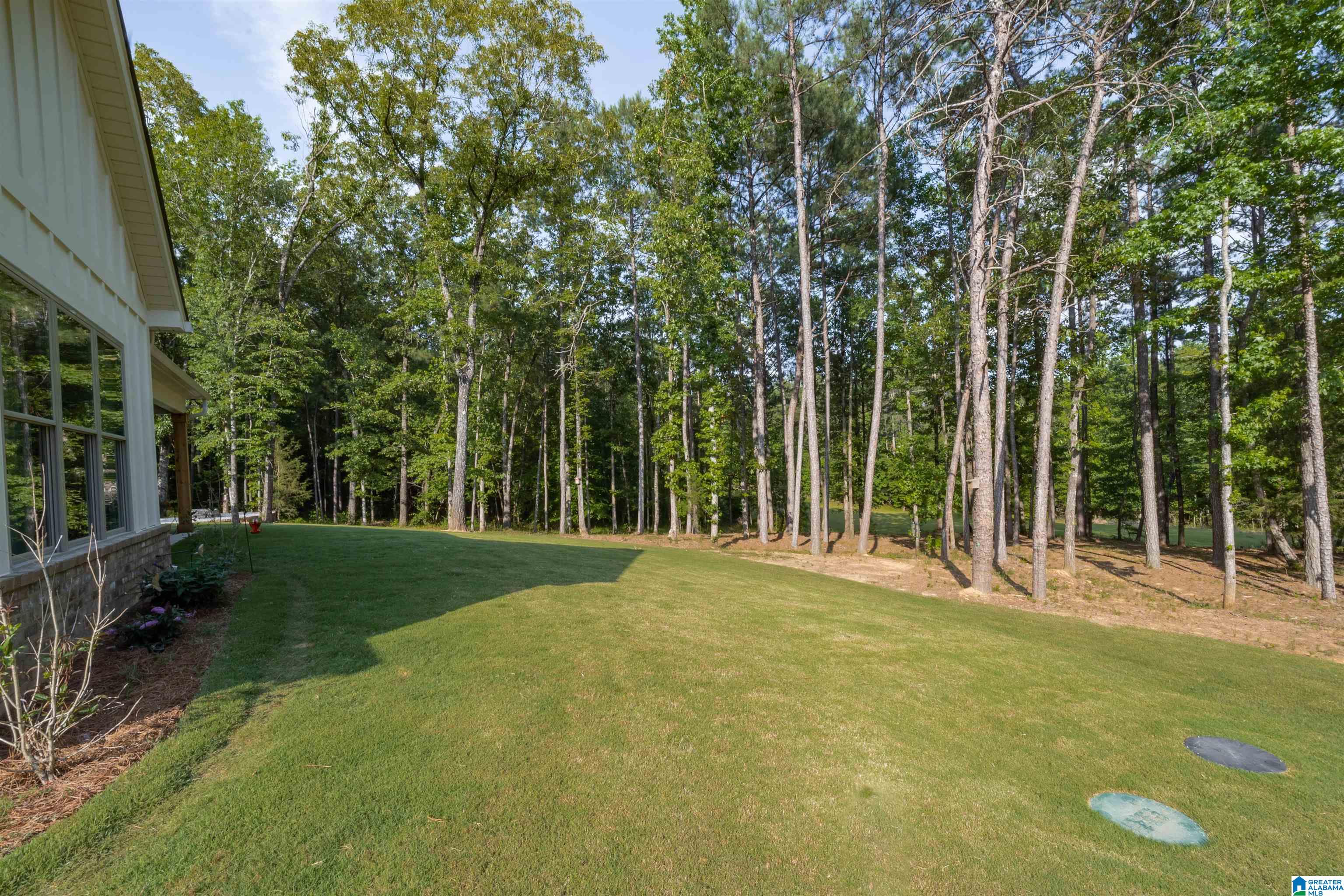 4324 Highway 331 Chelsea, AL 35043 - Photo 48 of 57